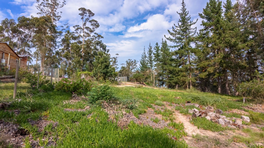 Commercial Property for Sale in Sedgefield Rural Western Cape